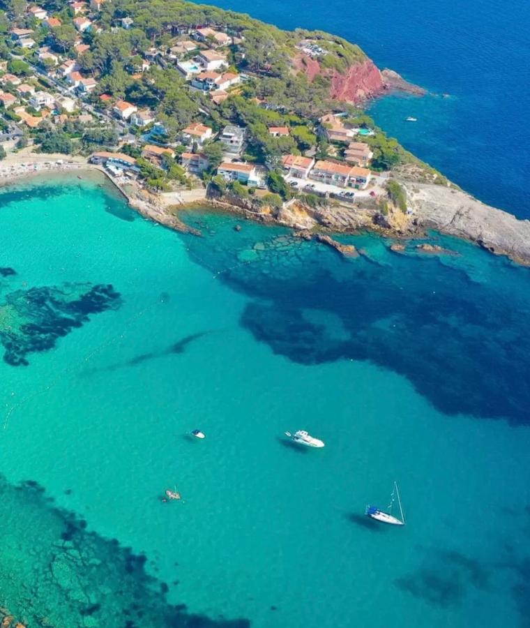 Confortable T2 Vue Mer Avec Terrasse Amenagee Et Parking Prive, Plage Et Port A Pied Sanary-sur-Mer Exteriör bild
